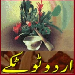 Logo of Urdu Totkay android Application 